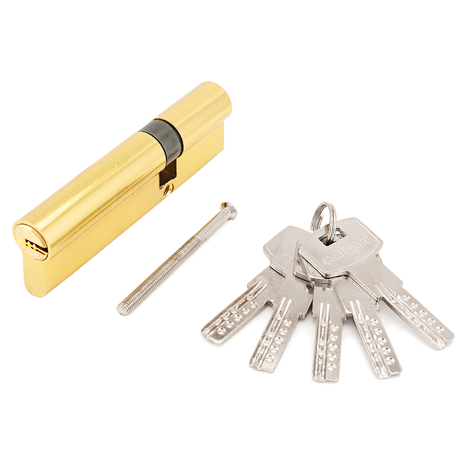 Механизм цил. F-01 100 (30х10х60) GP 5кл перф кл/кл СТАНДАРТ/100,10